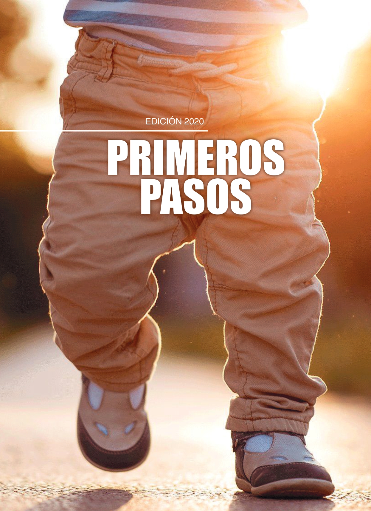 Primeros Pasos